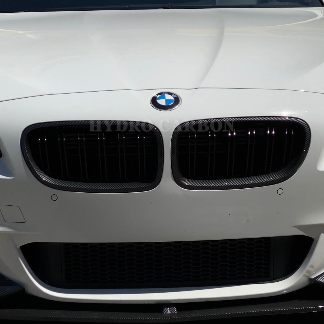 BMW 5 SERIES F10 CARBON FIBER/ GLOSS BLACK DOUBLE SLAT GRILLS